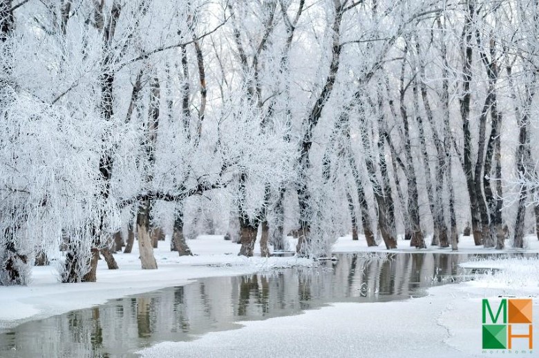 Tranh dán tường Hàn Quốc 3d khổ lớn ở Hà Nội NA - 438